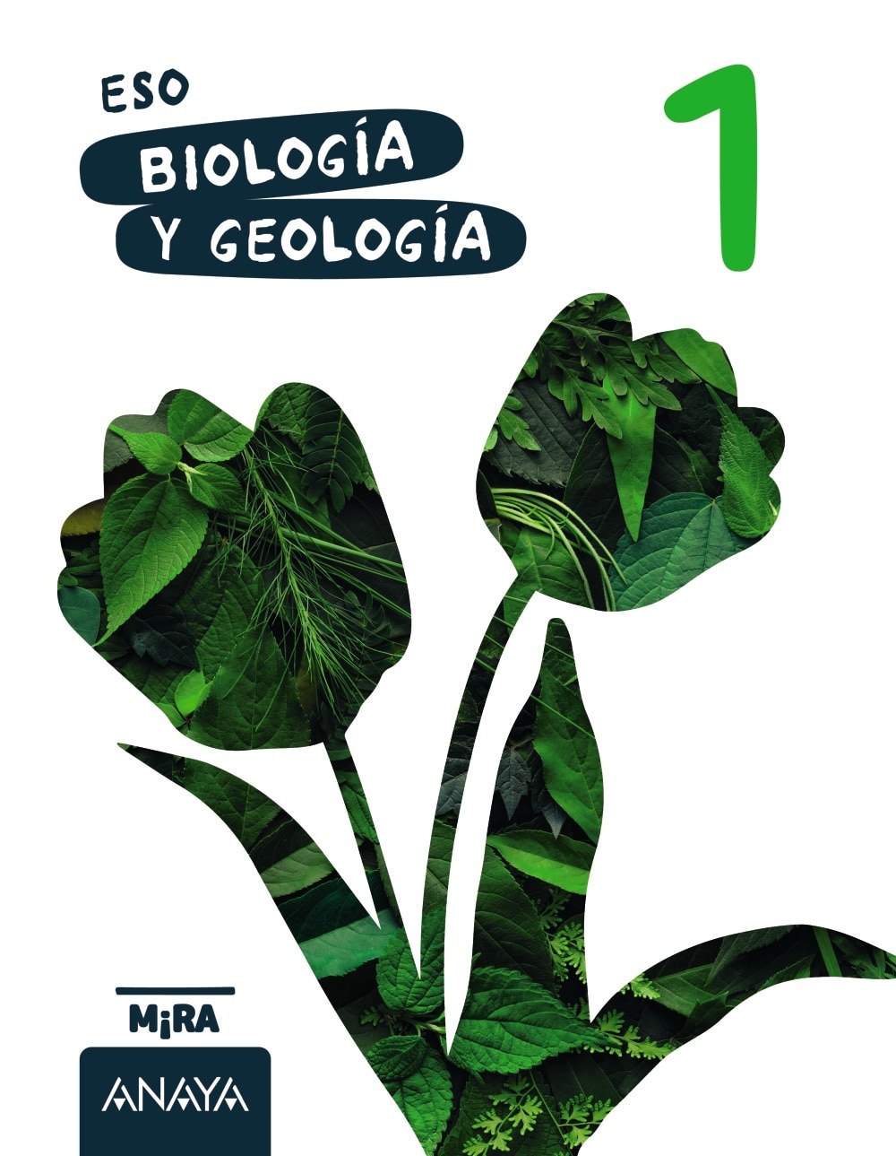 BIOLOGÍA Y GEOLOGÍA 1  (Tapa blanda) 1