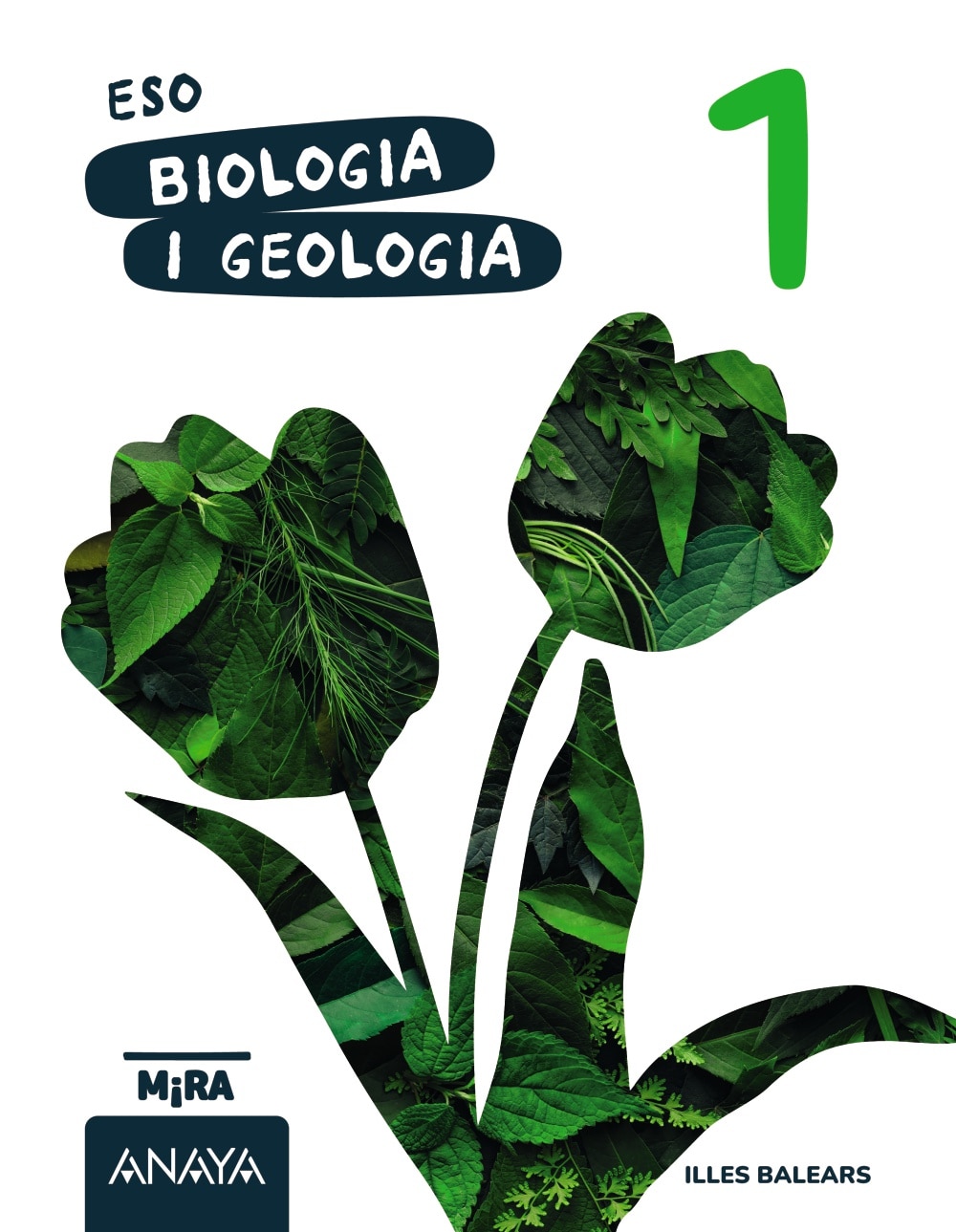 BIOLOGIA I GEOLOGIA 1