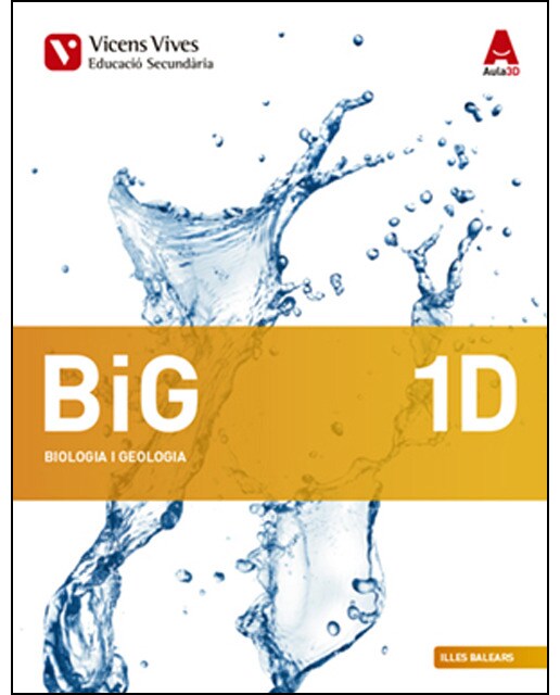 Big 1d balears aula 3d