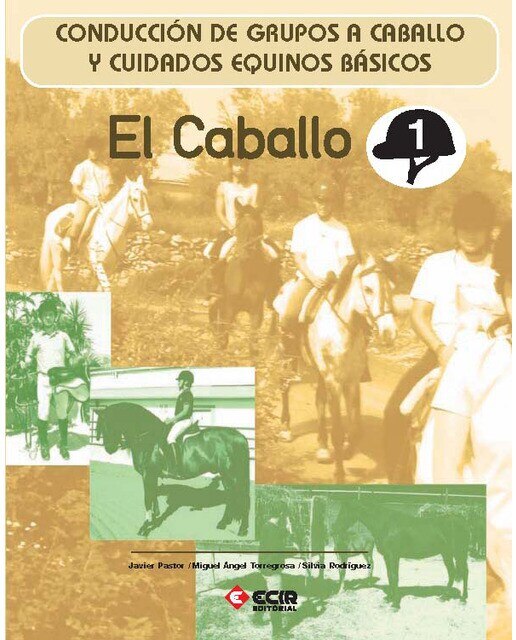 E:Equitación 1-el caballo: Conducción de grupos a caballo y cuidados ...