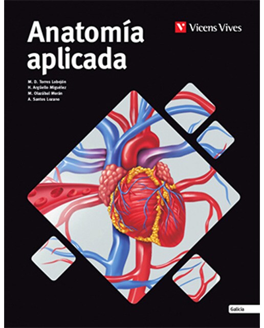 Anatomia aplicada aula 3d