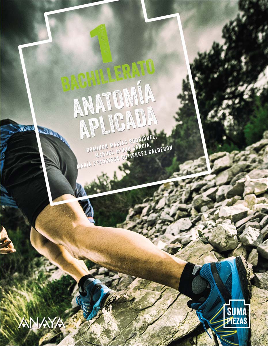 Imagen 0 de Anatomía Aplicada. (Tapa blanda)