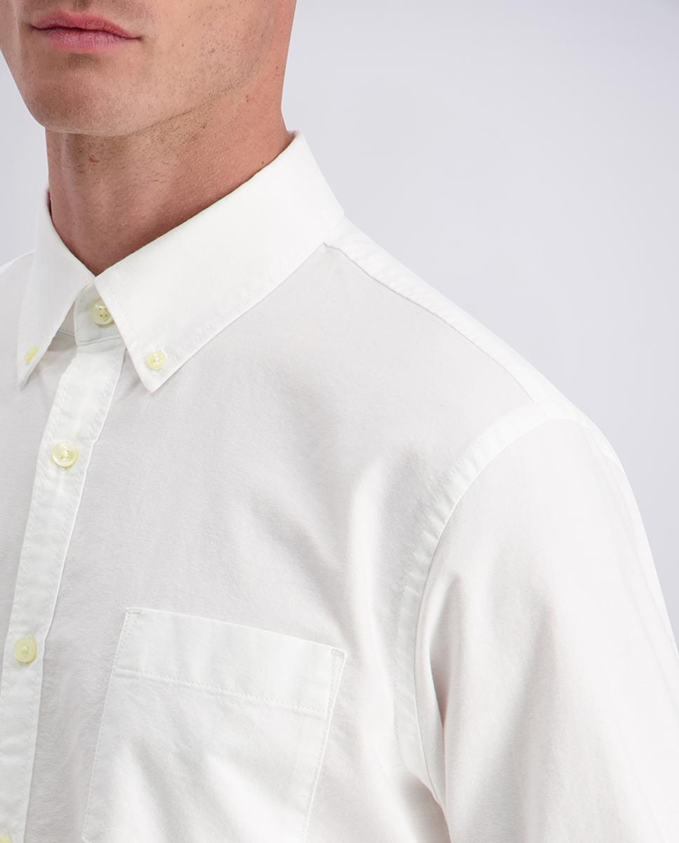 Camisa oxford de hombre modern fit lisa bolsillo botton down - Pierre Cardin - Blanco Blanco-3