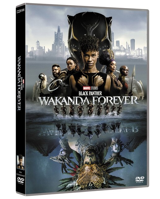 Imagen 0 de Black Panther: Wakanda Forever (DVD)