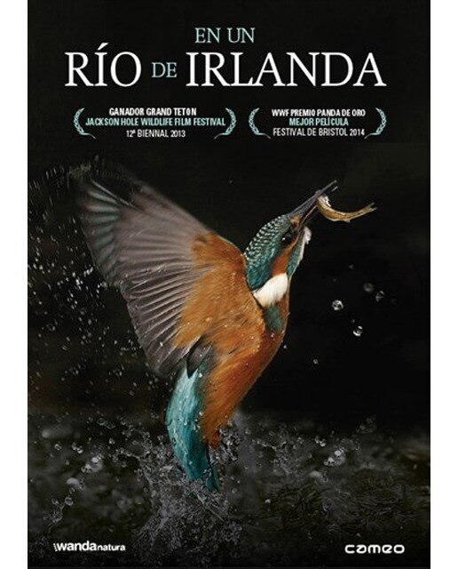 Imagen 0 de En un río de Irlanda (DVD)