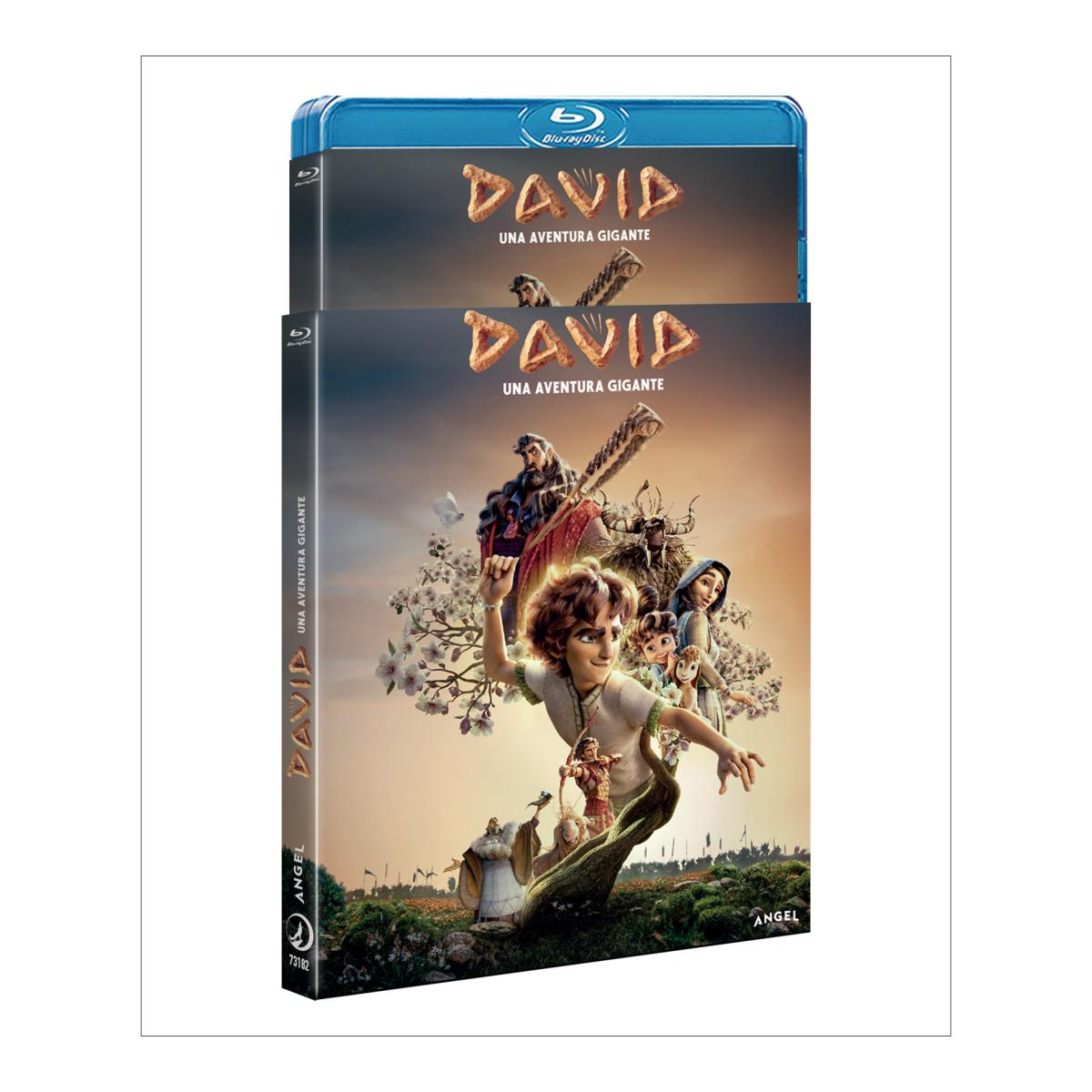 DAVID (Blu-ray) 2