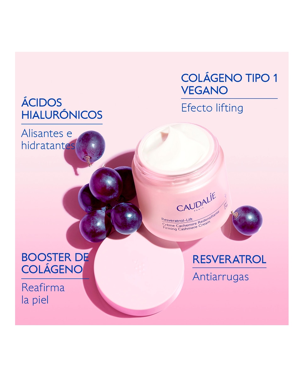 Recarga Crema Cachemir Resveratrol-Lift Caudalie - 50 ml 4