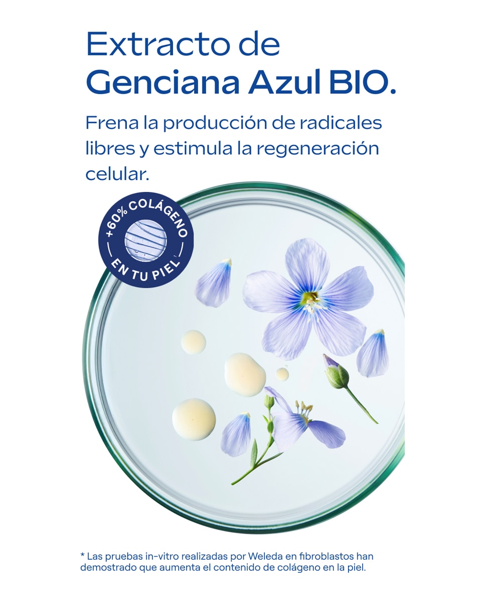 Imagen 7 de Sérum Redensificante Iluminador Antimanchas 30 Ml Weleda