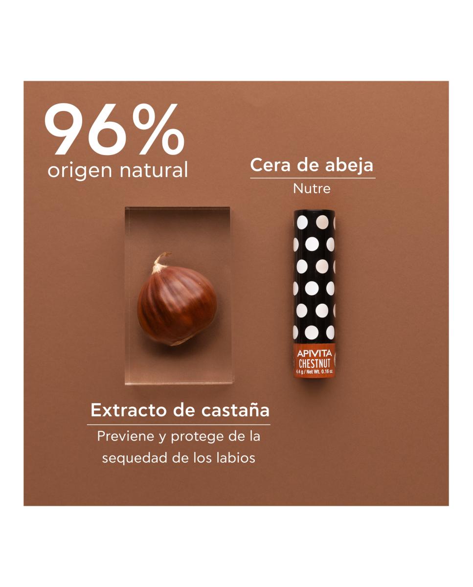 Bálsamo Labial Con Color Con Castaña 4,4 G Apivita 4