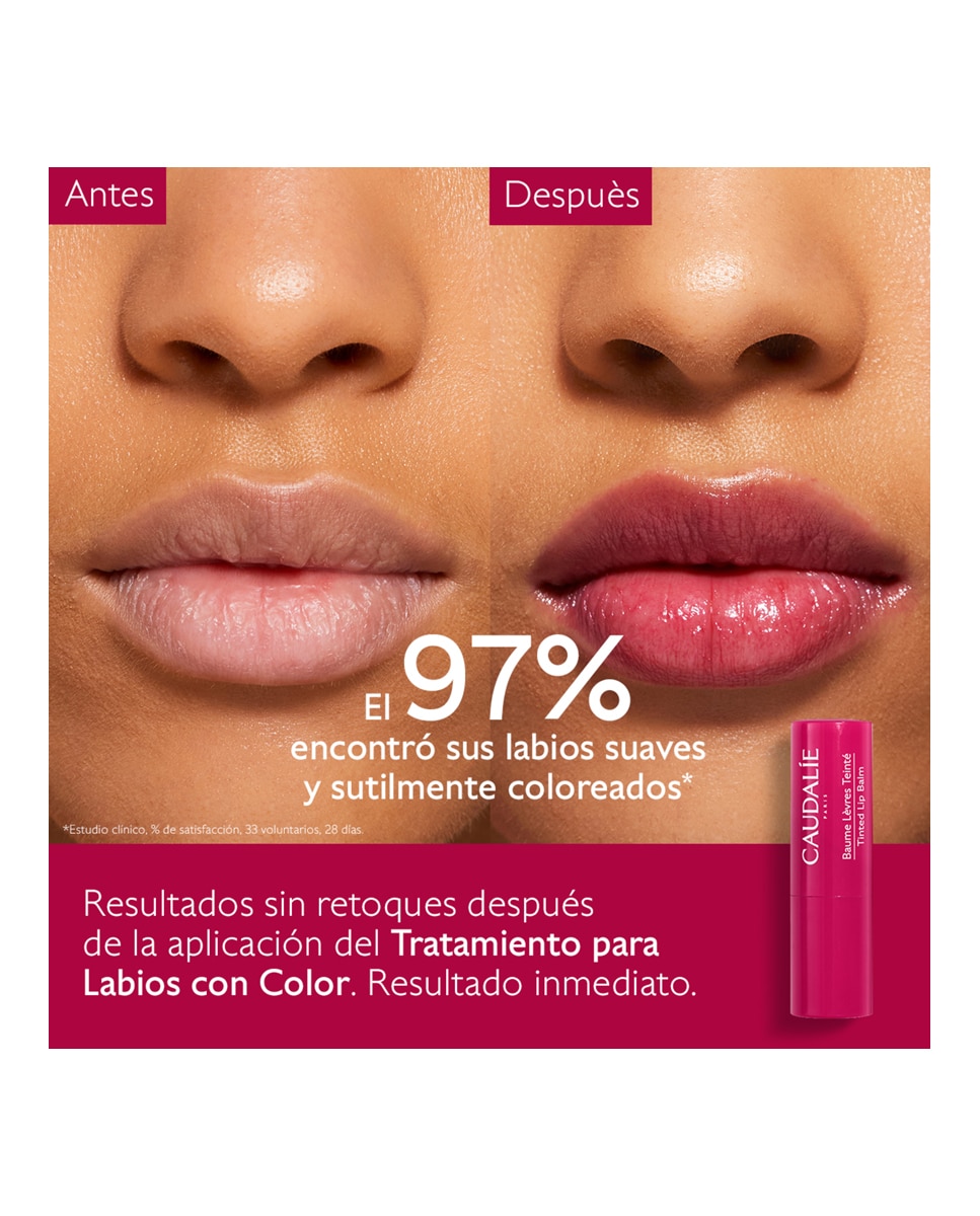 Bálsamo Labial con Color Vinotherapist 4,5 g Caudalie - 4,5 g 2