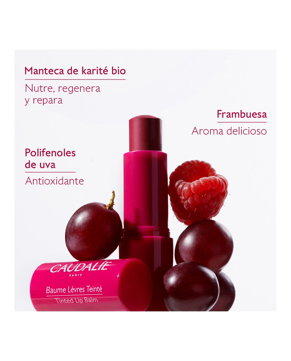 Bálsamo Labial con Color Vinotherapist 4,5 g Caudalie - 4,5 g 4