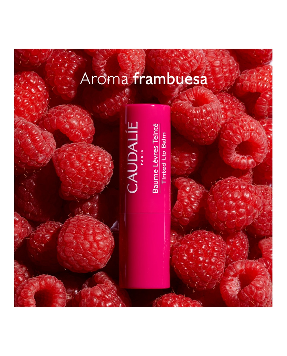 Bálsamo Labial con Color Vinotherapist 4,5 g Caudalie - 4,5 g 6