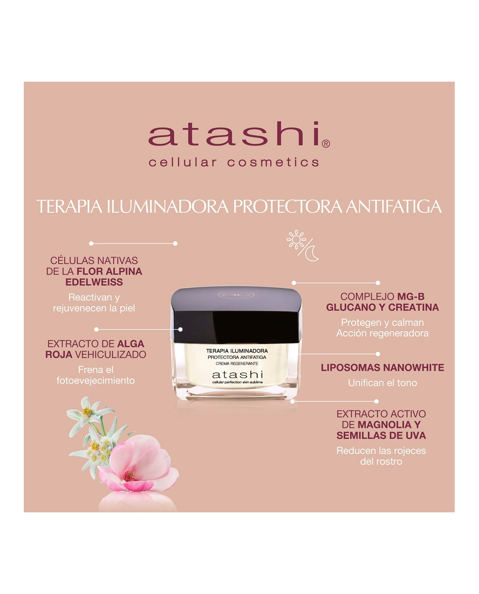 Cofre Terapia Crema Hidratación Intensa + Terapia Iluminadora Antimanchas Atashi 4