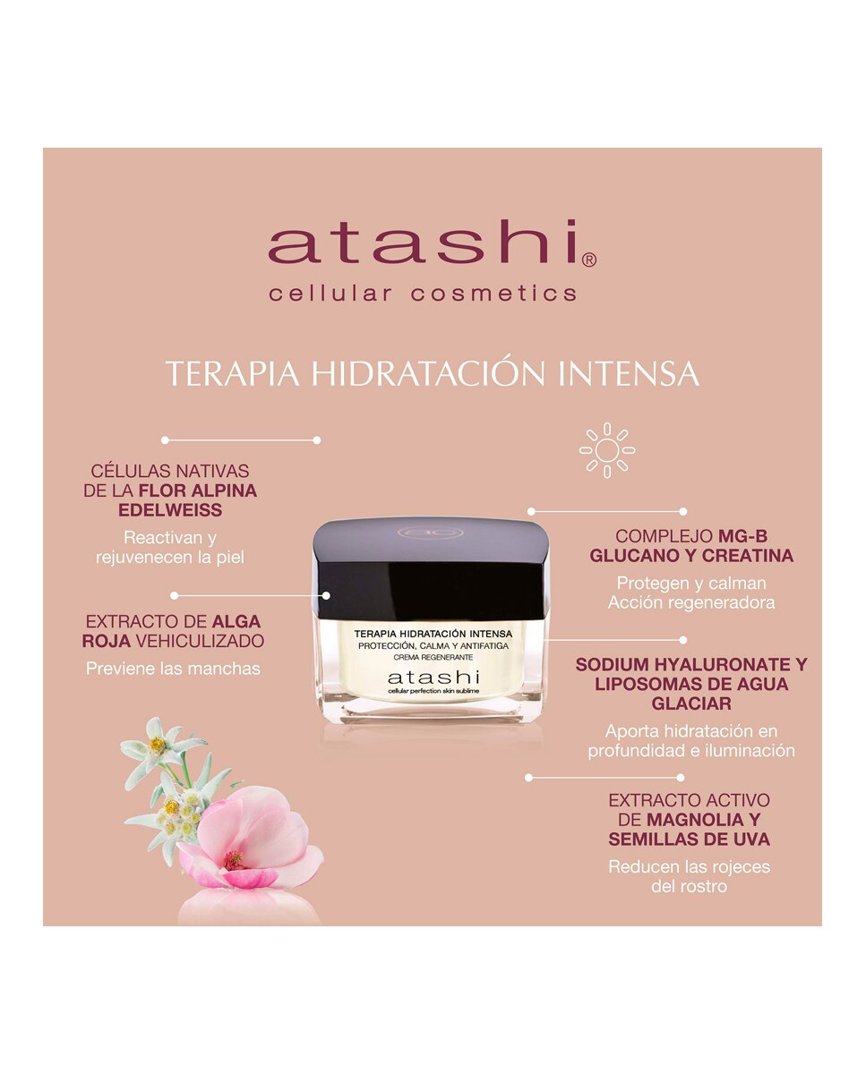 Cofre Terapia Crema Hidratación Intensa + Efecto Lifting Firmeza Atashi 2