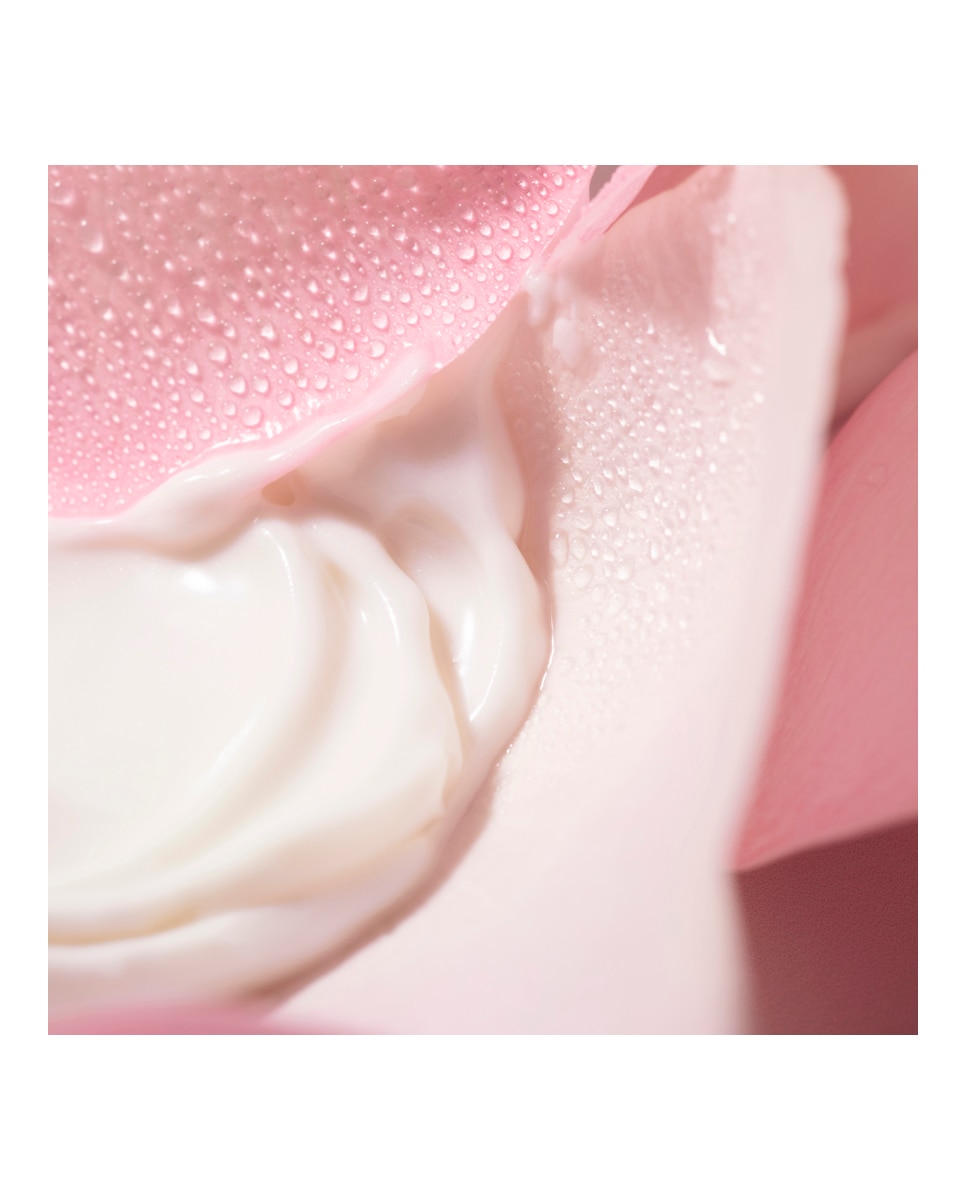 Leche Limpiadora Cremosa Very Rose 200 ml Nuxe - 200 ml 2