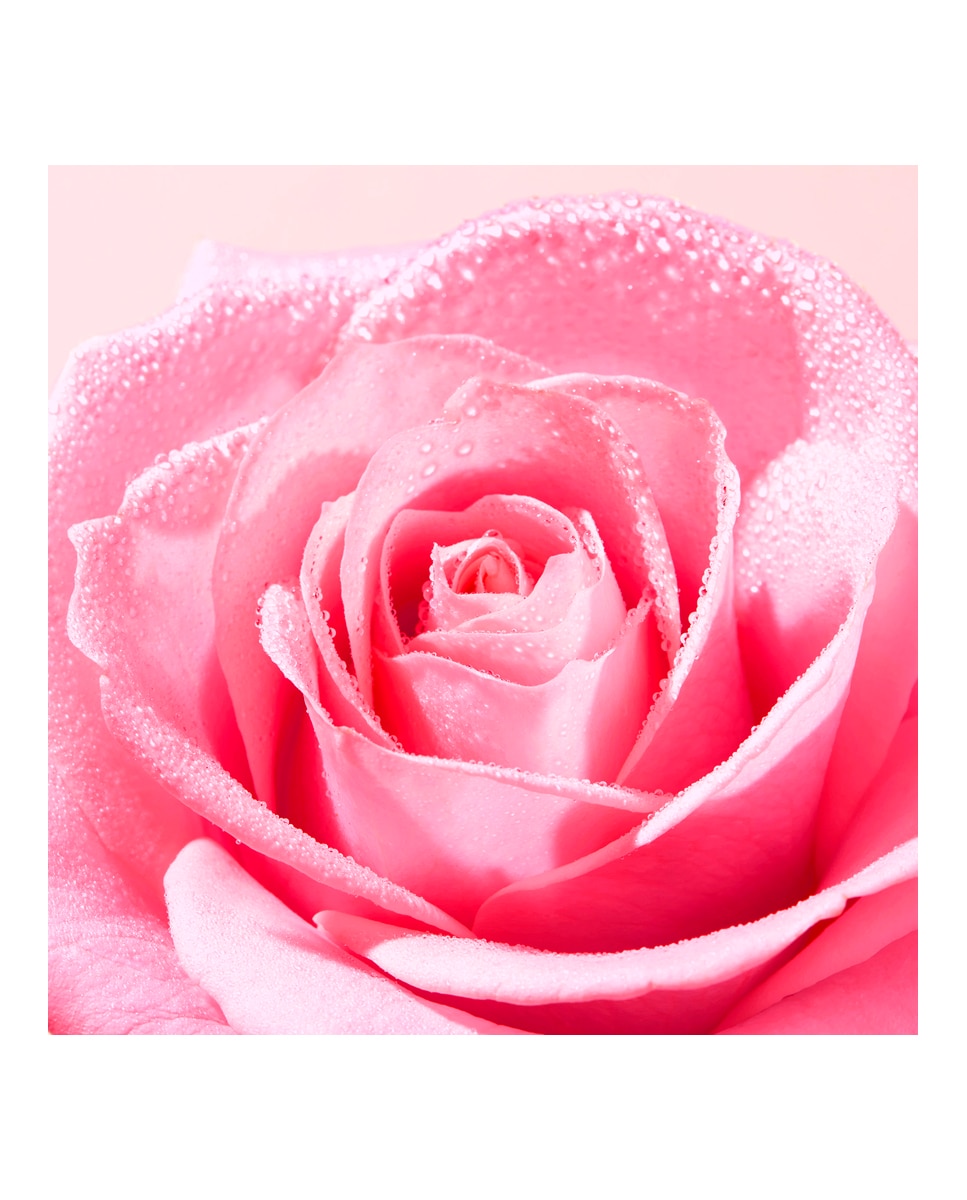 Loción Tónica Refrescante Very Rose Nuxe - 200 ml 3