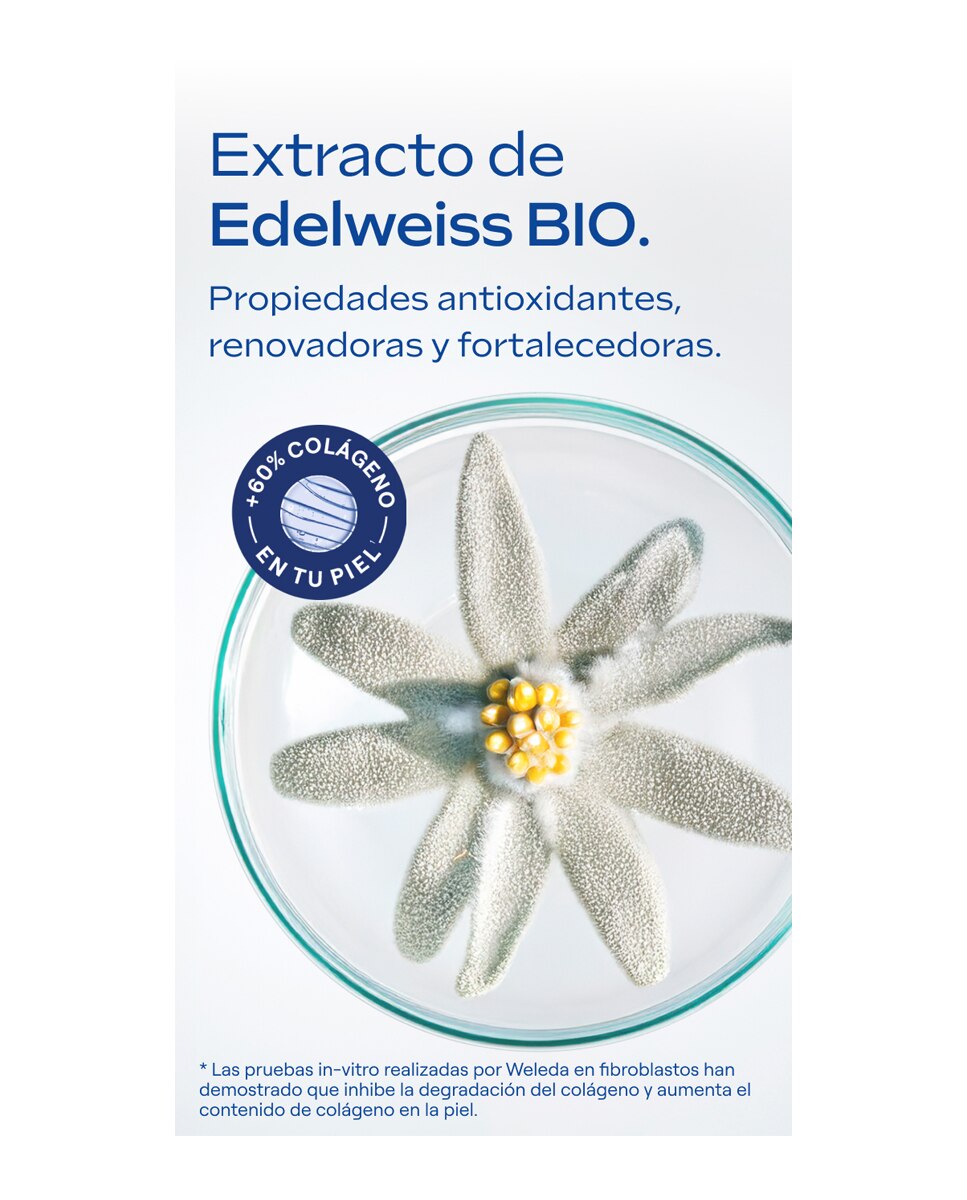 Mascarilla Sheet Mask Redensificante Weleda 8