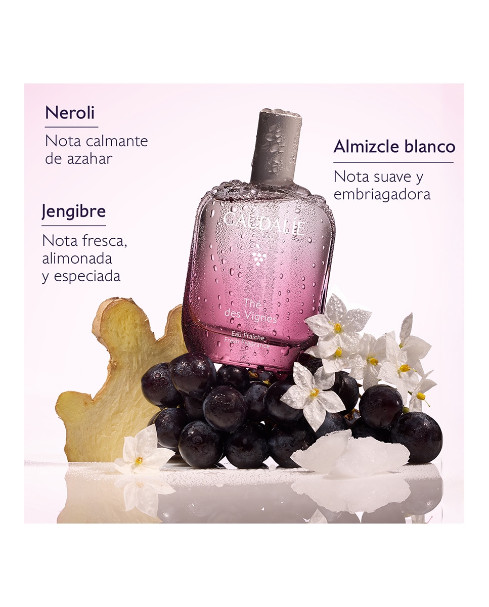 Eau de Parfum Thé des Vignes Agua Fresca Caudalie - 50 ml 4