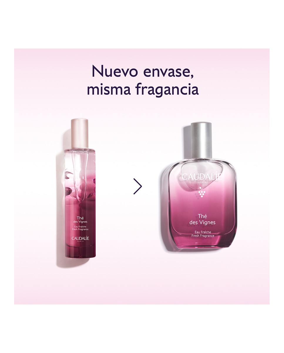 Eau de Parfum Thé des Vignes Agua Fresca Caudalie - 50 ml 6
