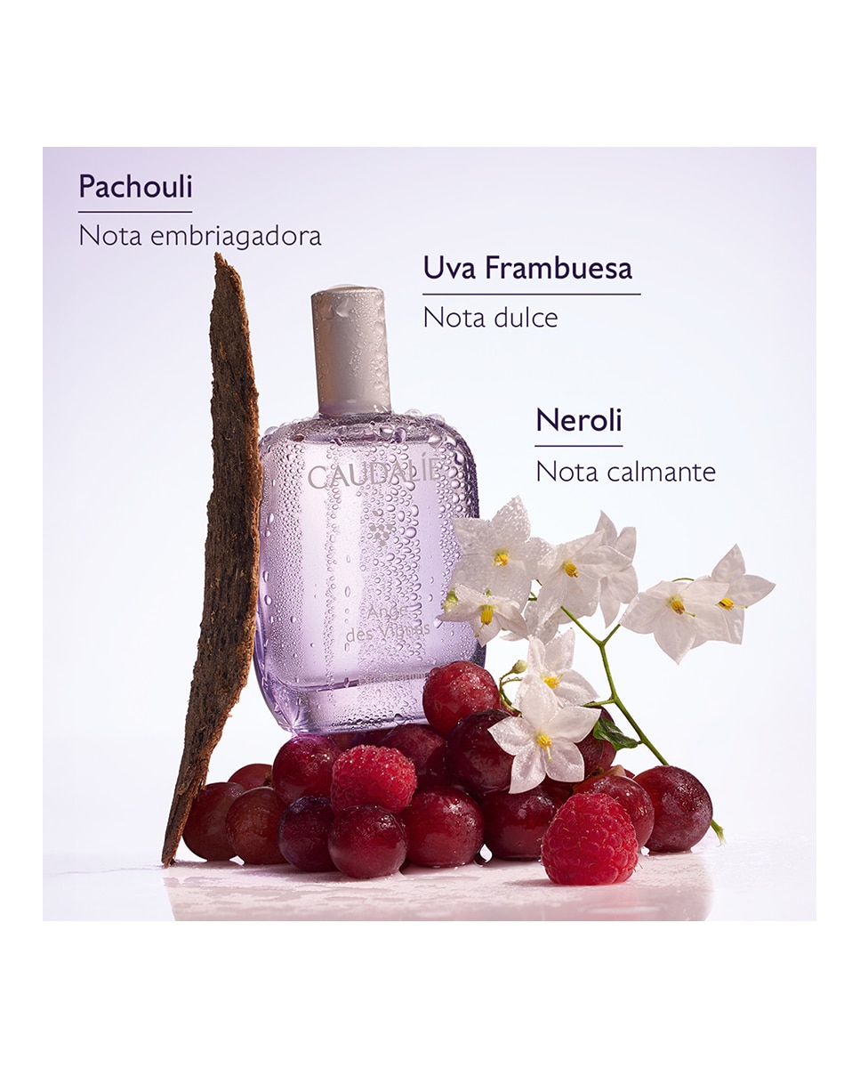 Eau de Parfum Ange des Vignes 50 ml Caudalie - 50 ml 4