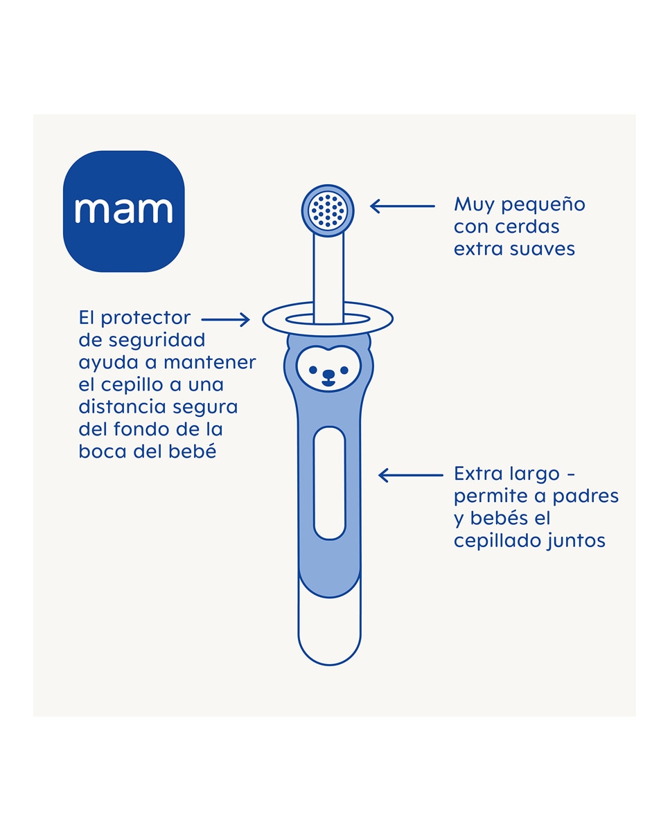 Imagen 2 de Cepillo de dientes bebé Training Brush Azul MAM