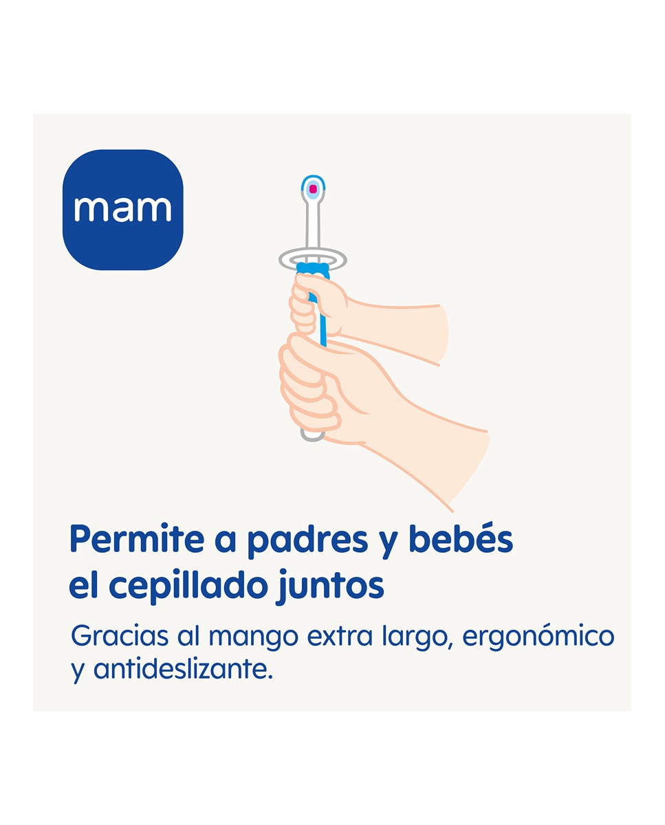 Imagen 3 de Cepillo de dientes bebé Training Brush Azul MAM