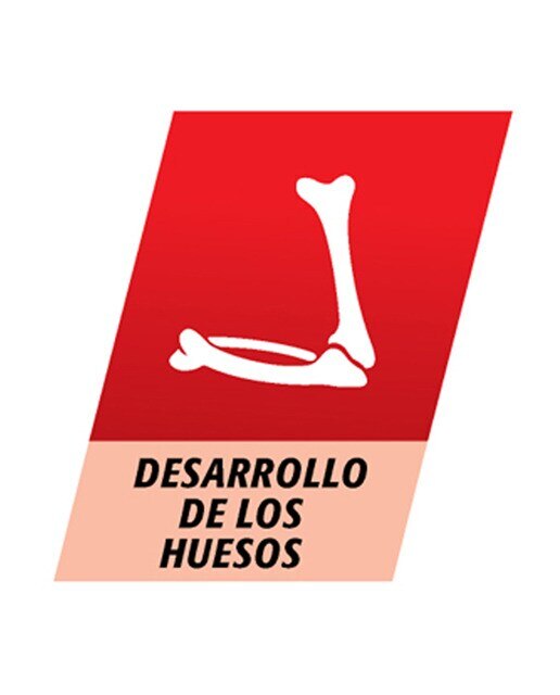 Comprimidos masticables Junior Multicentrum 5
