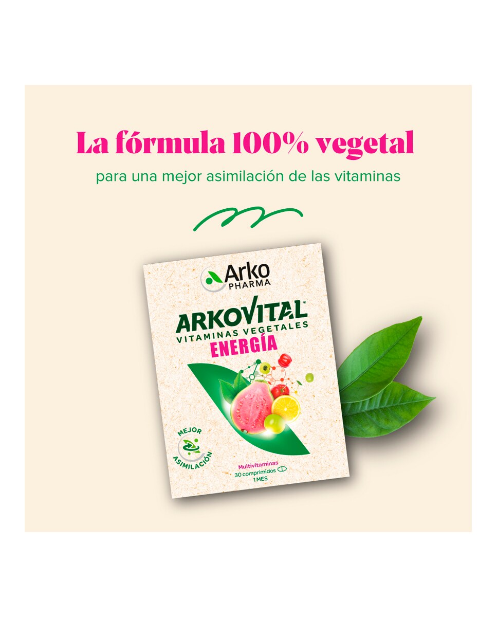 30 comprimidos Arkovital® Pura Energía Arkopharma 2