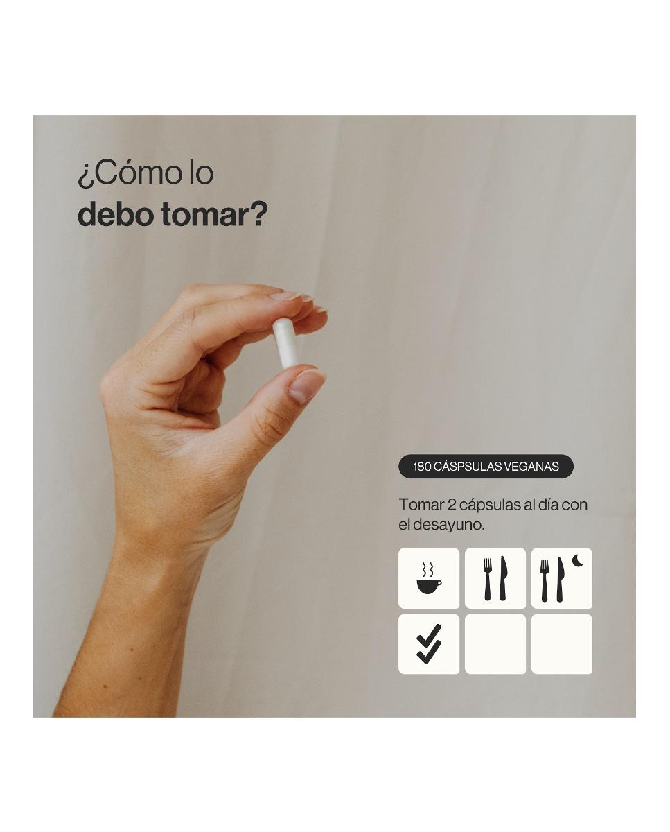 180 Cápsulas Veganas Complemento Alimenticio Vitamina C Liposomal Zenement - 180 Cápsulas 3