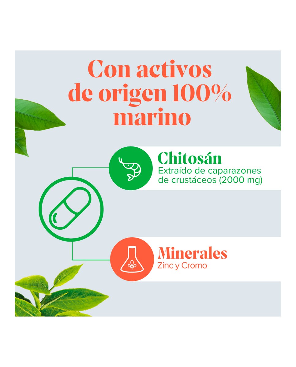 Complemento Alimenticio Figurmed Chitosán Extra Forte 60 Cápsulas Arkopharma - 60 Cápsulas 4