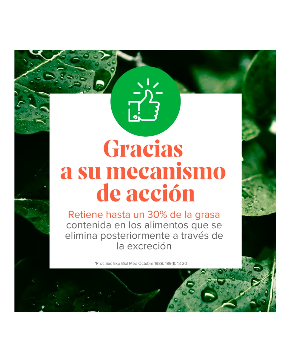 Complemento Alimenticio Figurmed Chitosán Extra Forte 60 Cápsulas Arkopharma - 60 Cápsulas 5