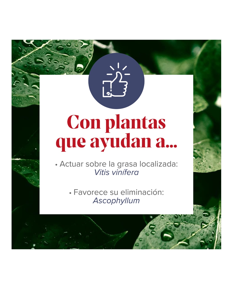 Complemento Alimenticio Figurmed Zonas Rebeldes 60 Cápsulas Arkopharma - 60 Cápsulas 2