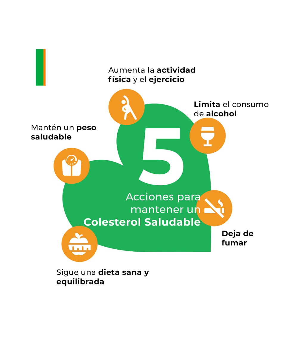 60 Comprimidos Control Colesterol y Triglicéridos Armolipid Plus - 60 Comprimidos 2