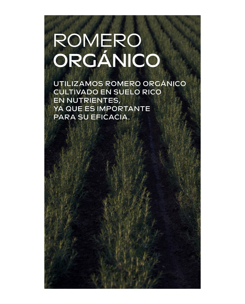 Acondicionador Revitalizante de Romero 150ml Weleda 6