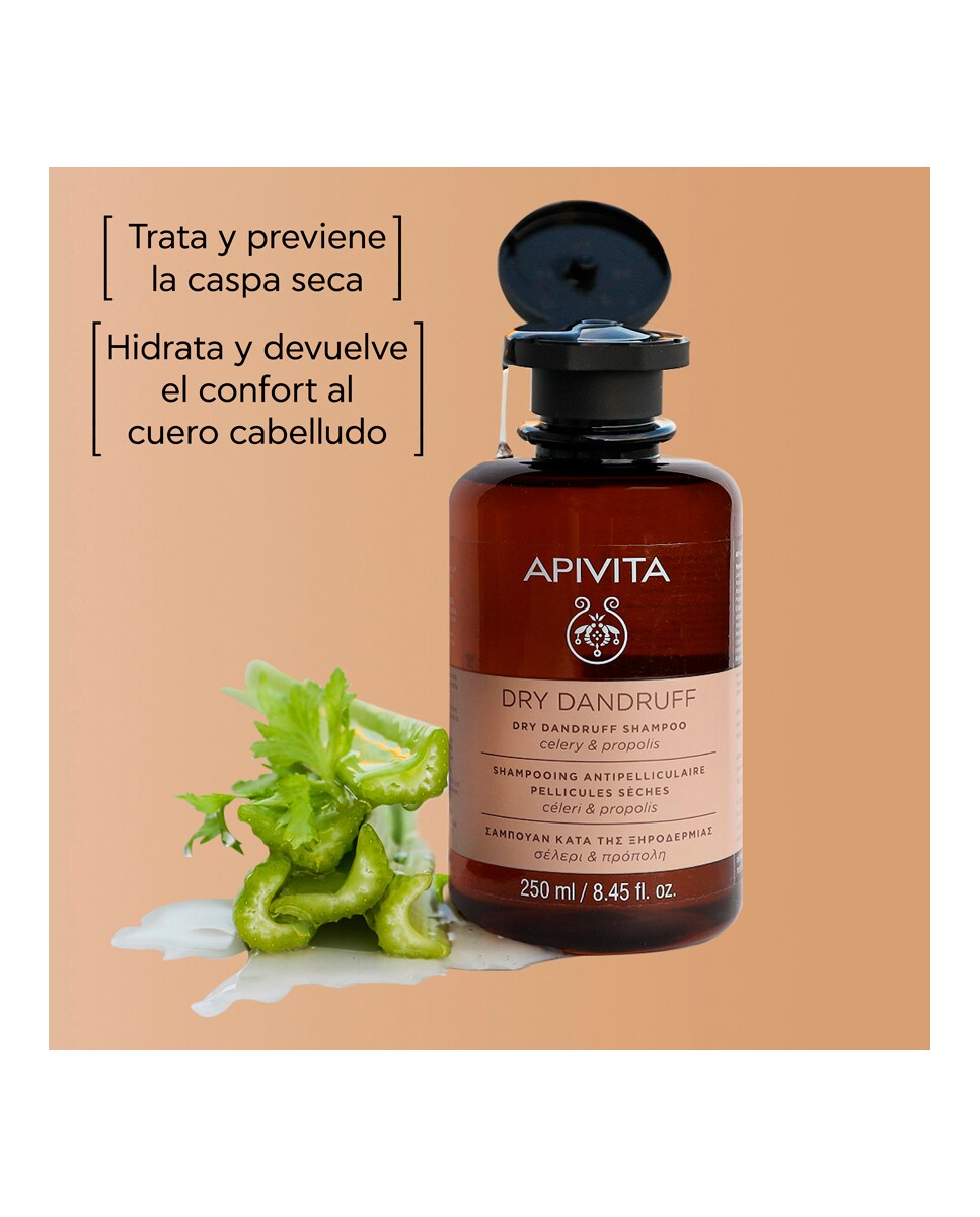 Champú Anticaspa Seca 250 ml Apivita 2