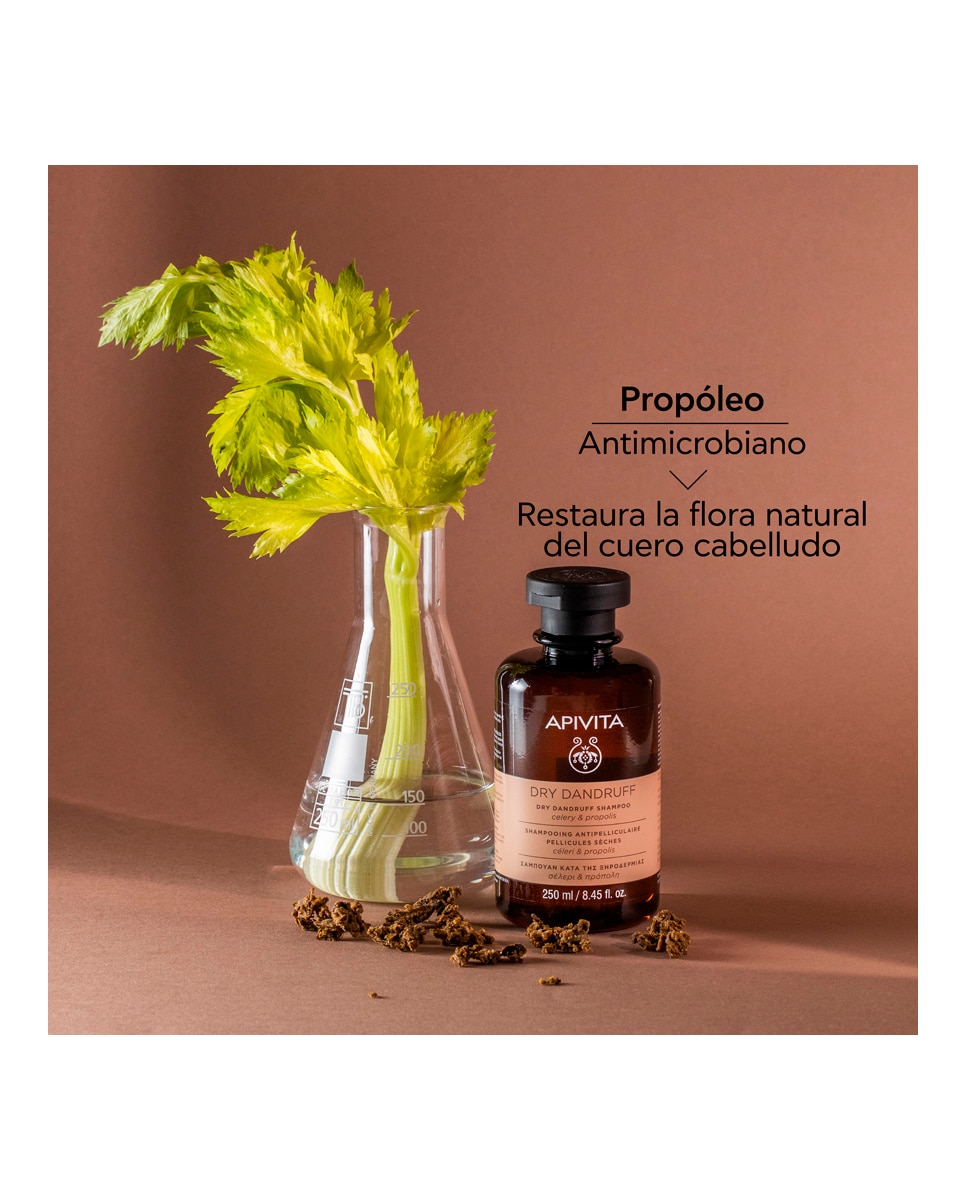 Champú Anticaspa Seca 250 ml Apivita - 250 ml 5