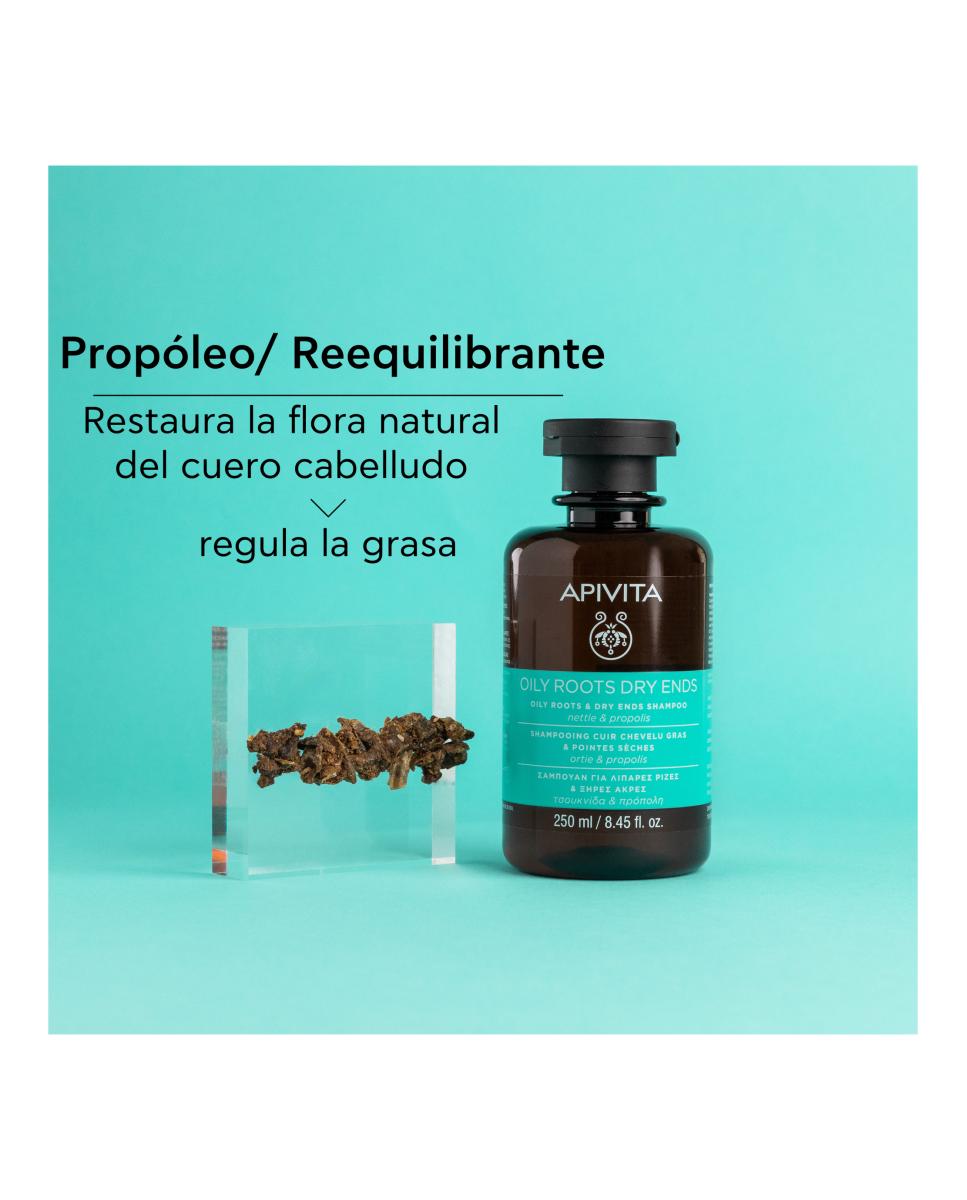 Champú Para Raíces Grasas Y Puntas Secas 250 Ml Apivita - 250 ml 3
