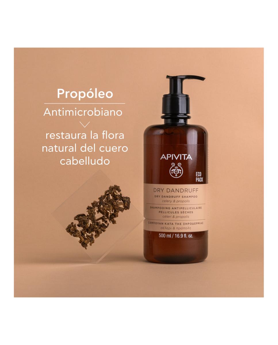 Champú Anticaspa Seca 500 Ml Apivita - 500 ml 6