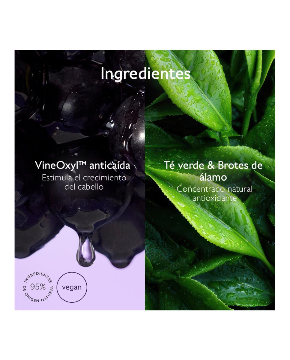 Champú Densidad & Volumen 200 ml Caudalie 8