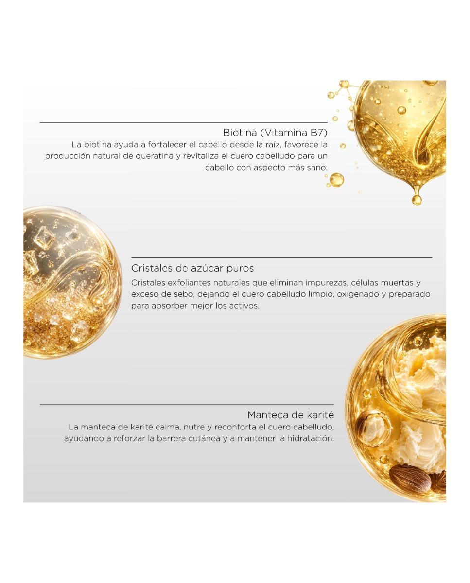 The Scalp Scrub Exfoliación Experta Del Cuero Cabelludo 180 Ml Root Defense Lab 2