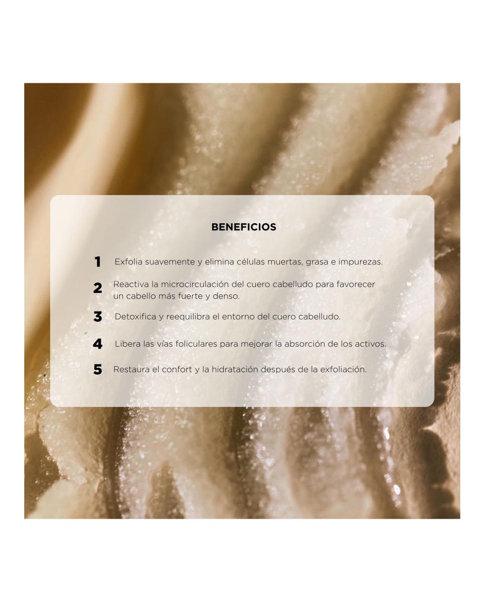 The Scalp Scrub Exfoliación Experta Del Cuero Cabelludo 180 Ml Root Defense Lab 5