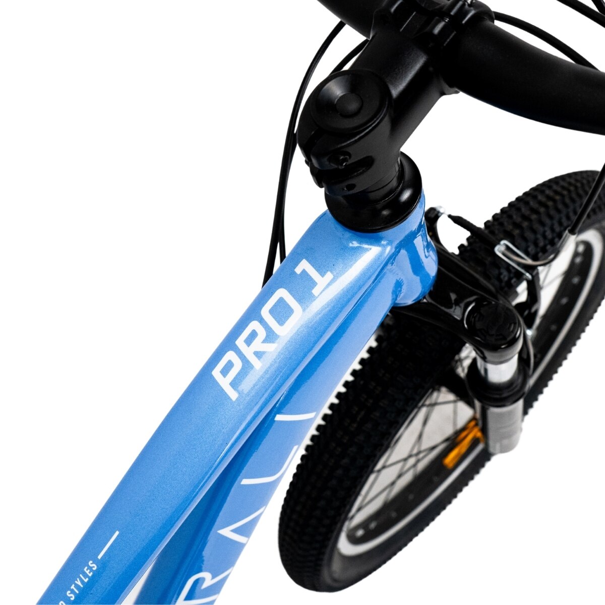 Bicicleta 20" infantil pro1-20 Rali - Azul Azul-9