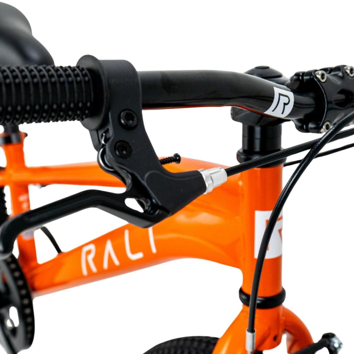 Bicicleta Infantil PRO2 Naranja Rali - Naranja Naranja-5