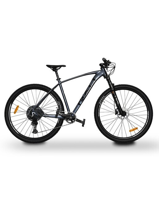 Bicicleta de montaña ADV-0 29`` Rali