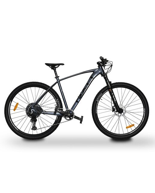 Bicicleta de montaña ADV-0 29'' Rali - Gris Gris-1