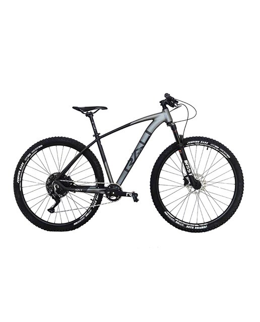 Imagen 0 de Bicicleta de montaña ADVII 29" Rali