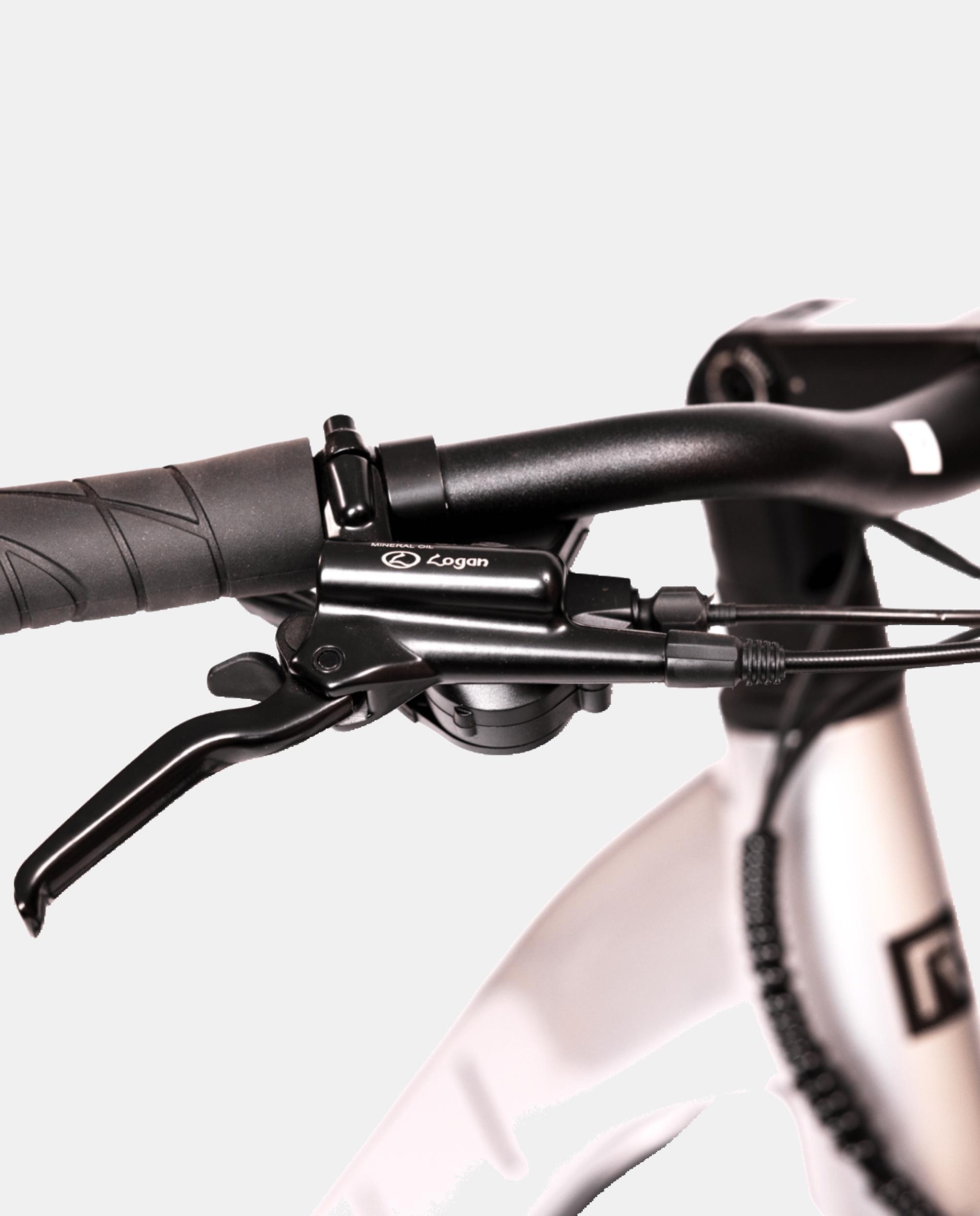 Bicicleta Electrica Unisex Ecity 700 Rali - Plata Plata-4