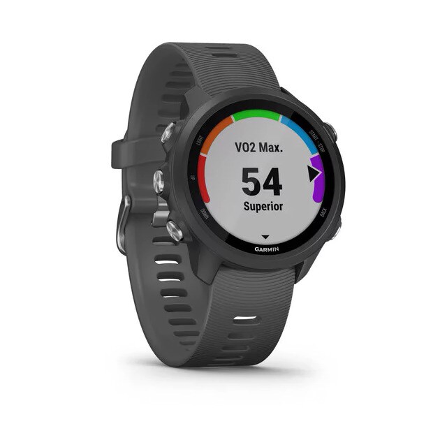 Relógio GPS Forerunner 245 Garmin Preto-11