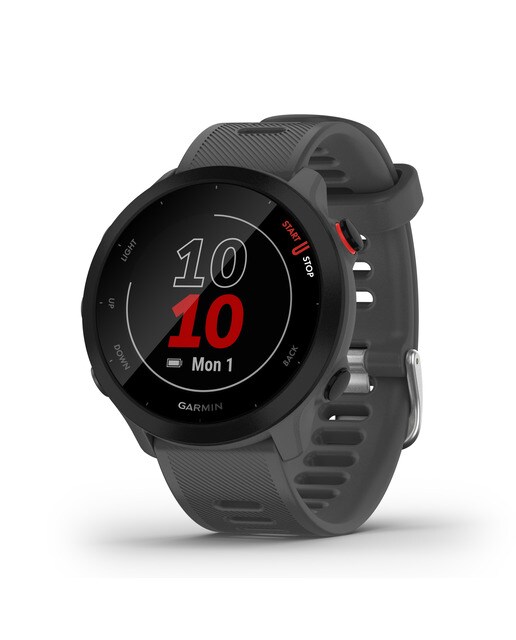 Relógio Smartwatch Forerunner 55 Cinzento-1