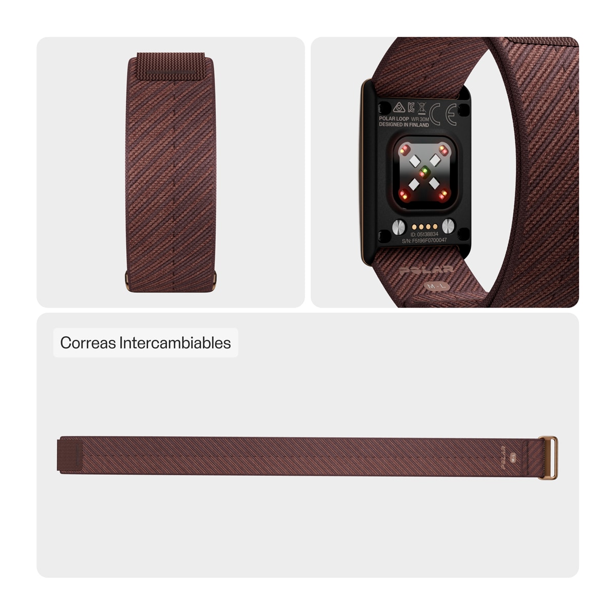 Correia Unissexo para Loop Polar Castanho-2